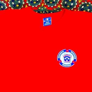 Vintage Champion Little League  USA T-shirt. Size M